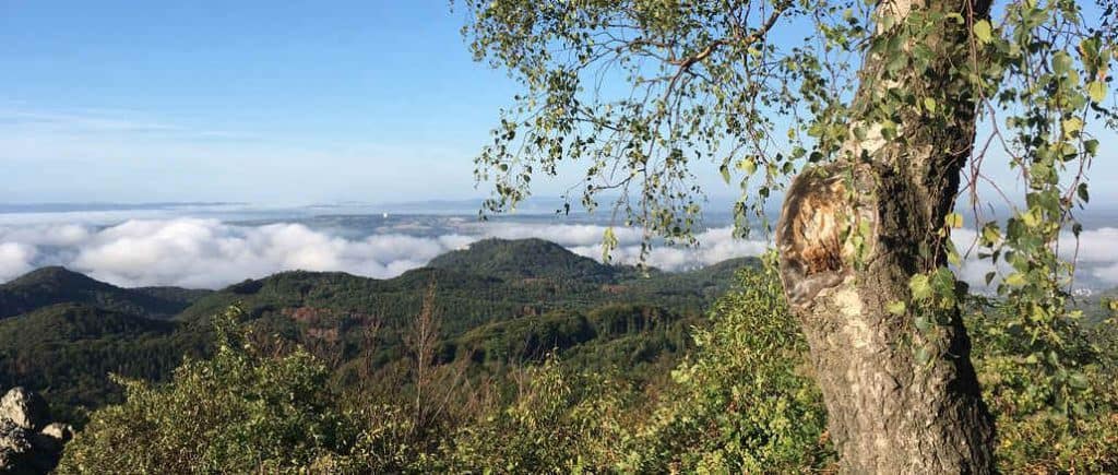 Blick vom Ölberg, Siebengebirge