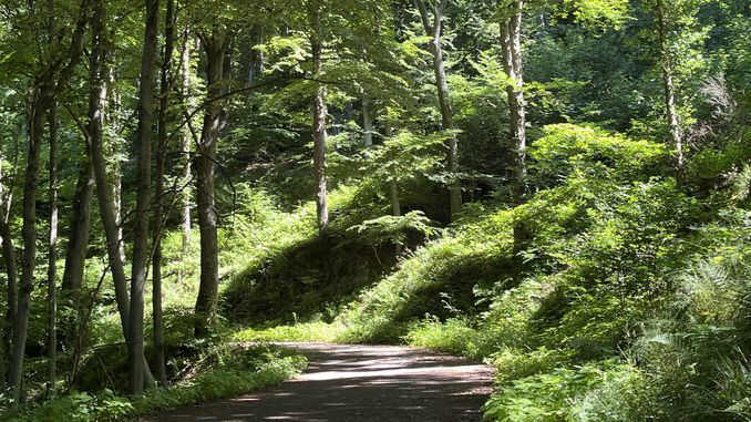 Ölbergrundweg, Siebengebirge