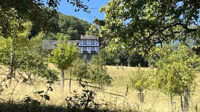 Obstwiese unterhalb des Löwenburger Hofes