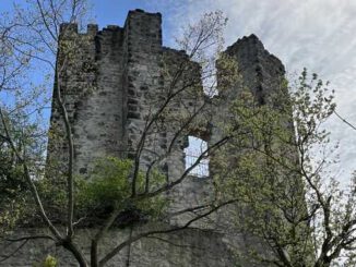 Burg Drachenfels, „Kölner Fenster“, Siebengebirge