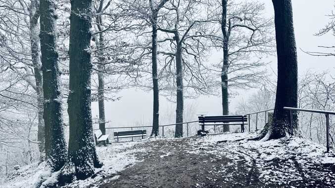 Drei-Seen-Blick am Lohrberg im Schnee, Siebengebirge