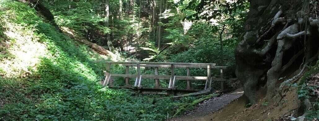 Tretschbachtal, Siebengebirge