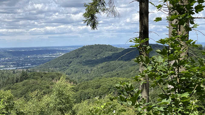 Petersberg vom Lohrbergrundweg, Siebengebirge